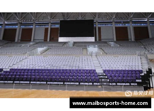 沈阳NBA篮球馆：探索东北篮球文化新中心